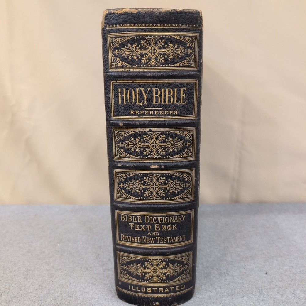 1883 Holman Pictorial Bible Dore Engravings Springs Family Fort Mill SC Ephemera - Picture 3 of 16